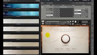 Native Instruments - Symphony Essentials String Ensemble - Permanent Hang-BUG
