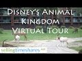 Disney’s Animal Kingdom Timeshare Video Tour