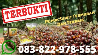 Terbaik Cara Aplikasi Super Nasa Granule Pada Tanaman sawit