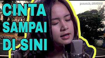 CINTA SAMPAI DISINI - D