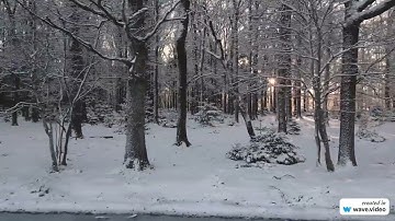 Abdulbasit Abdussamad تسجيل قديم نادر من سورة الاحزاب والبلد والعلق 1 عبد الباسط عبد الصمد