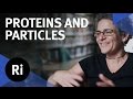 Protein Folding and Particle Accelerators: A New Solution