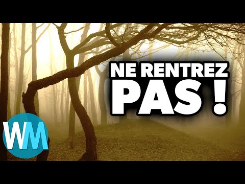 Vidéo: Hideuses Maisons Fantômes Dans La Région De La Forêt-Noire Du Colorado - Vue Alternative