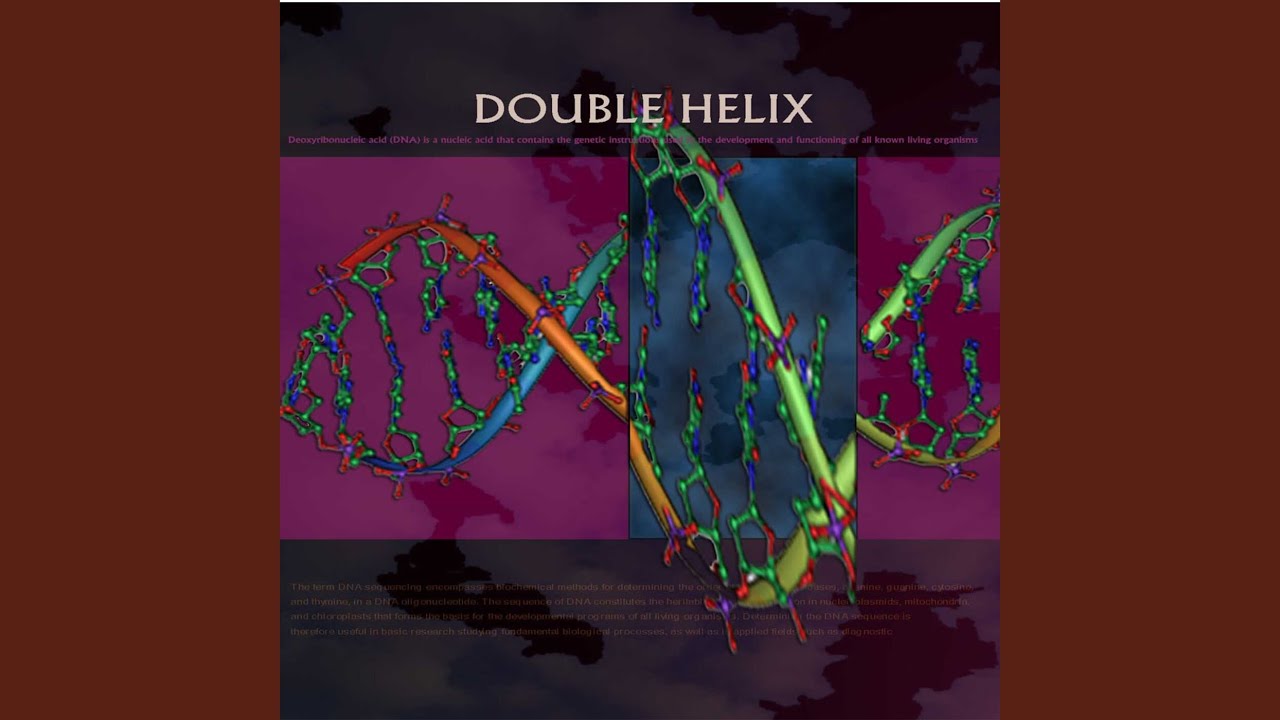 Παρακολούθηση Disordered structure στο YouTube Παρακολούθηση Disordered structure στο YouTube