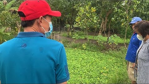 Giao Ốc Giống Cho Khách Hàng Ở Phú Thứ - Cái Răng Cần Thơ | Liệt Vlog