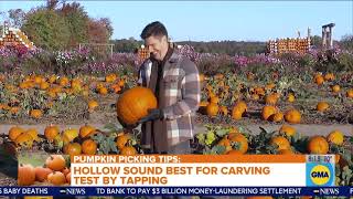 Pumpkin picking tips and how to make it last