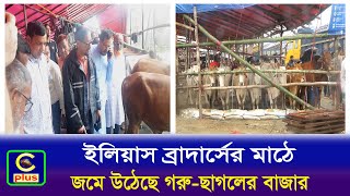 কম দামে গরু ছাগলের বাজার জমে উঠেছে নুর নগর হাউজিং ইলিয়াস ব্রাদার্সের মাঠে | Cplus