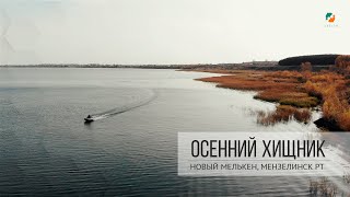 ЩУЧИЙ ЖОР ОСЕНЬЮ, Татарстан Новый Мелькен