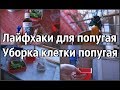 УБОРКА КЛЕТКИ ПОПУГАЯ | СОДЕРЖАНИЕ ПОПУГАЯ | ЛАЙФХАКИ | КОМАНДА ДОМОЙ!