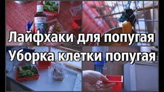 УБОРКА КЛЕТКИ ПОПУГАЯ | СОДЕРЖАНИЕ ПОПУГАЯ | ЛАЙФХАКИ | КОМАНДА ДОМОЙ!