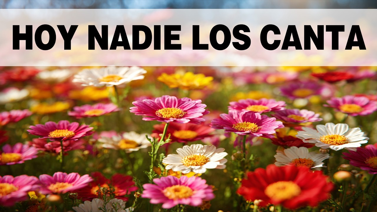 Paz en la Tormenta: Himnos que Sanan y Abrazan el Alma Herida 🙏✨