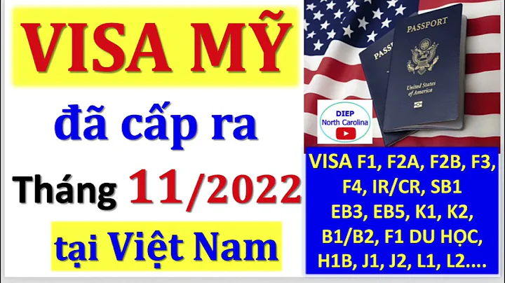 Visa M  Cp Ra Cho Vit Nam - THNG 11/2022 |S Lng Vi...
