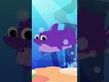 Five Hungry Sharks, Number Song #shorts #kidstvbabyshark #numbers #babyshark