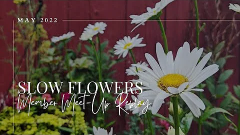 Slow Flowers Members' Virtual Meetup - May 13, 2022
