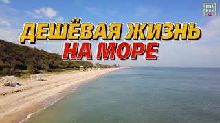 картинка: Голубицкая: жизнь и отдых рядом с вулканом на берегу моря