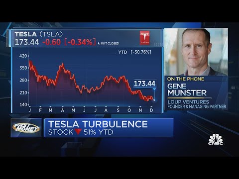 Tesla shares have long-term upside, says loup ventures' gene munster