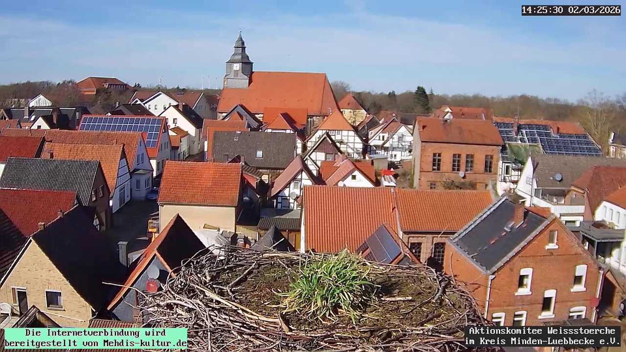 Livestream von Storchennest Petershagen