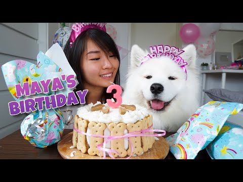 my-dog's-exciting-third-birthday!!!-[with-diy-dog-birthday-cake-recipe]