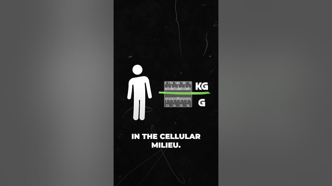 the-low-salt-diet-debunked-stop-avoiding-sodium-debunked