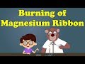 Burning of Magnesium Ribbon Experiment | #aumsum #kids #science #education #children