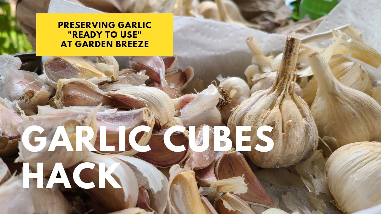 Kitchen Hack - Frozen Garlic Cubes – My Merry Messy Life