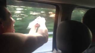 Highway Condom Hijinks