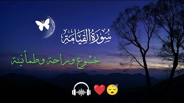 كمية الخشوع والراحة لا توصف | سورة القيامة | أسمع بقلبك 🥺🎧❤