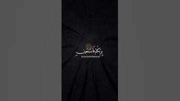 قرآن كريم | بصوت القارئ محمد هشام | حالات واتس اب دينية ❤️📿