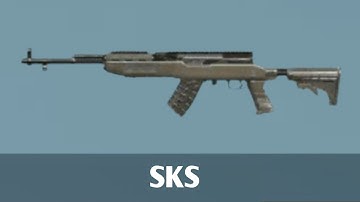 SKS sound effect (High Quality)