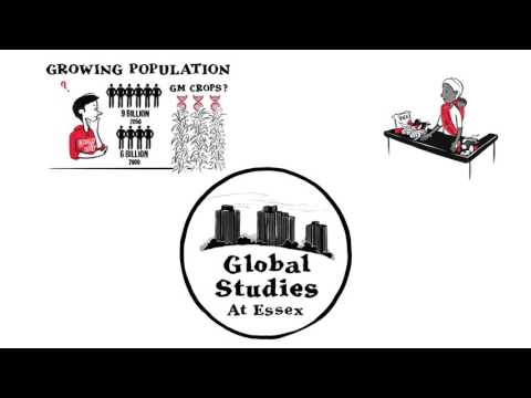 Why Global Studies?