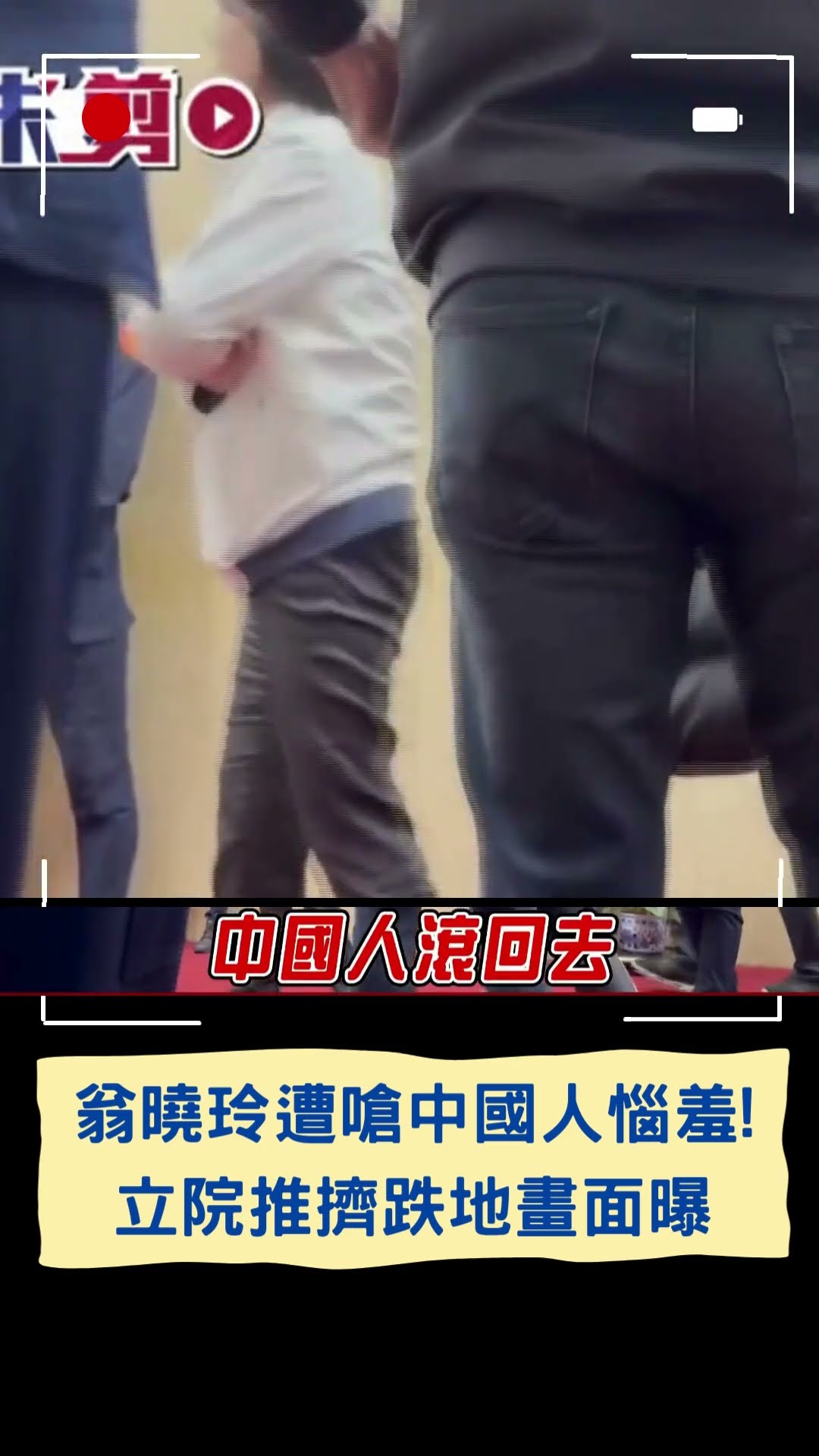 翁曉玲遭嗆中國人惱羞! 立院推擠跌地畫面曝｜20241220｜#shorts  #三立live新聞 #三立新聞