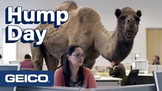GEICO | Hump Day
