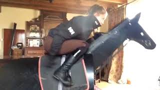 Race Horse Equicizer Simulator Practice screenshot 4