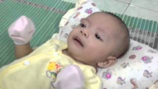 Faqih Faqih