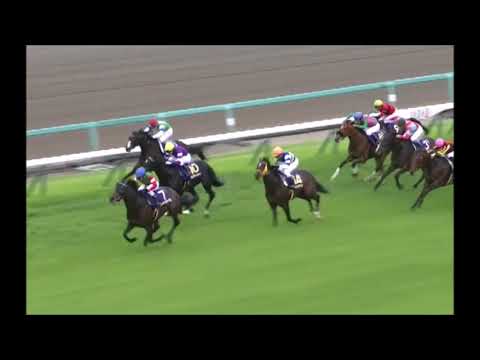 【皐月賞】エポカドーロ勝利シーン