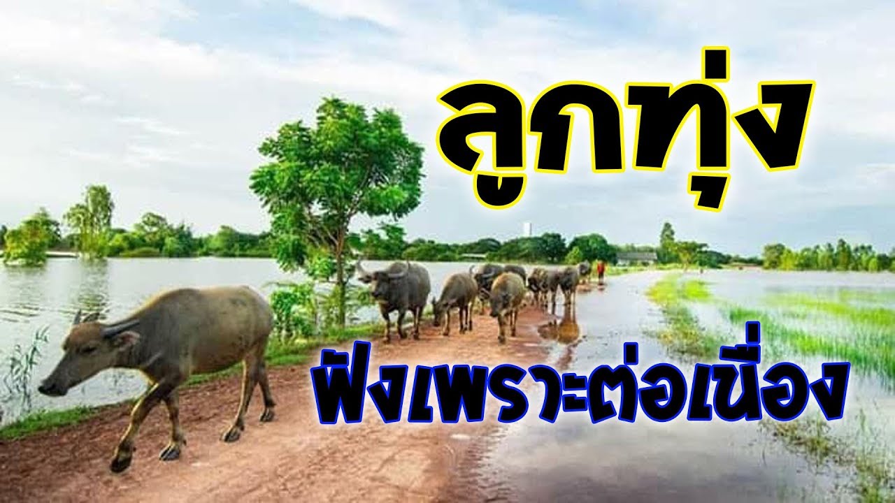 ลูกทุ่งหมอลำ ฟังเพราะต่อเนือง