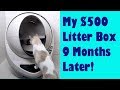 My $500 Litter Box 9 Months Later: An Update on Life with the Litter-Robot 3 Connect!