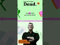 The Coffin Confessor: Crashing Funerals and Exposing Truths from Beyond the Grave