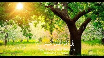 وَضَرَبَ لَنَا مَثَلًا وَنَسِيَ خَلْقَهُ ۖ قَالَ مَن يُحْيِي الْعِظَامَ وَهِيَ رَمِيمٌ (78)/ سورة يس
