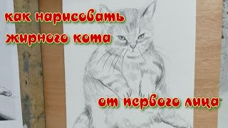 Как нарисовать жирного кота (от первого лица)