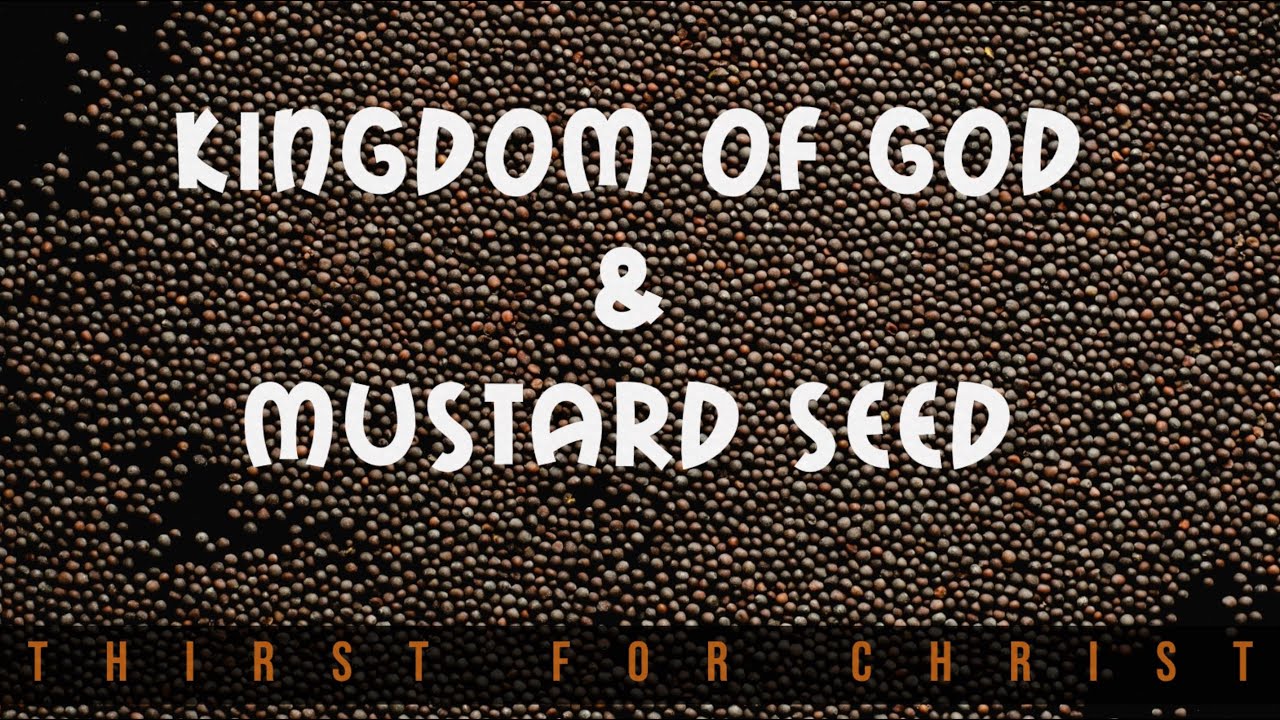 Today s Gospel Reading Reflection October 26 2021 Luke 13 18 21 today-s-gospel-reading-reflection-october-26-2021-luke-13-18-21