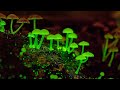 BRILLAN CON LUZ PROPIA | BIOLUMINISCENCIA