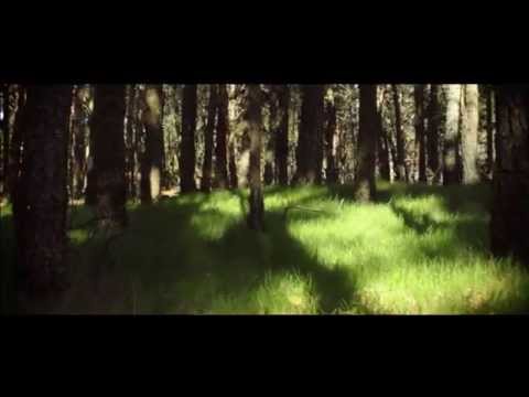 Video: Bosque Nomeolvides