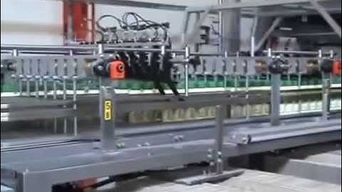 TC500 PRASMATIC WRAP-AROUND CASE PACKER MACHINE  WITH DIVIDER