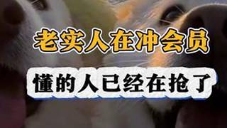 老实人在充会员，懂的人已经在抢了#QQ音乐#会员