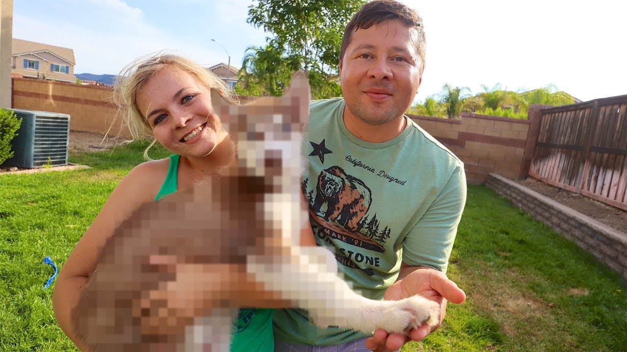 FINALLY GETTING A PUPPY! *CUTENESS OVERLOAD*