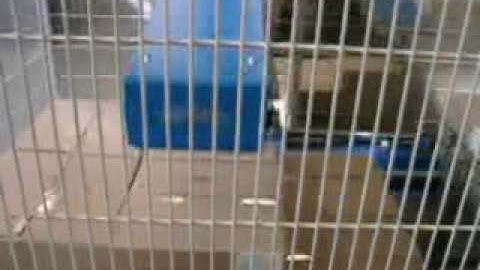 PARO palletising robot for boxes