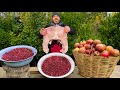 Harvesting Pomegranates and Cooking 6 KG of BELUGA STURGEON with Pomegranate Syrup