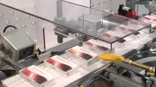 MGS Machine - CIM Carton Inspection Module