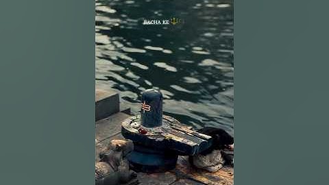 Mahadev status video ✨ bholenath status 💞 shiv status ❣️ mahadev status video #shorts